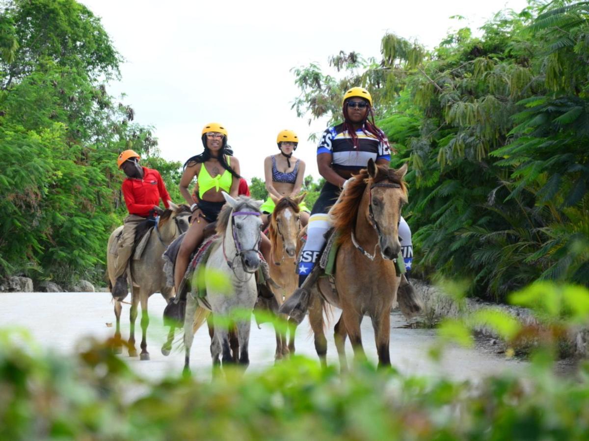 لوكويللو Rainforest Retreat 15 Min From The Beach المظهر الخارجي الصورة