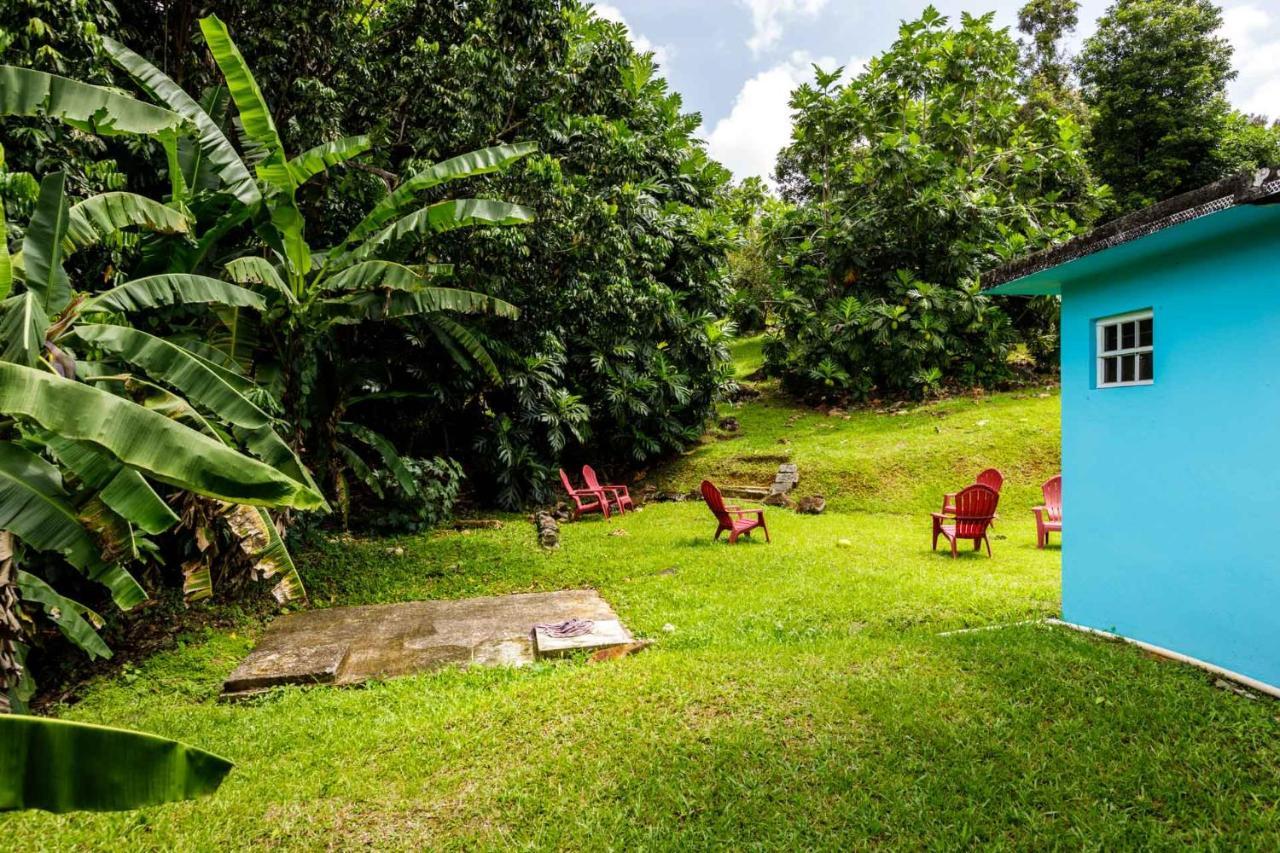 لوكويللو Rainforest Retreat 15 Min From The Beach المظهر الخارجي الصورة