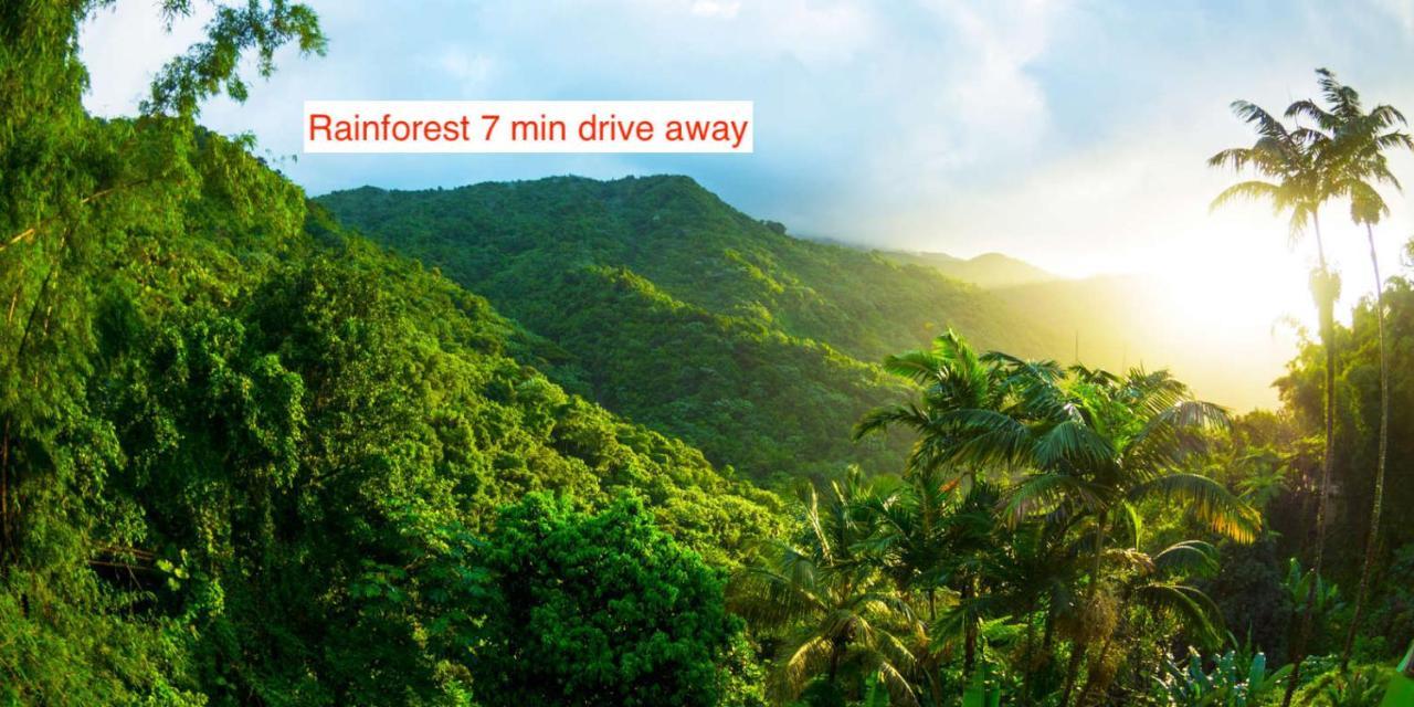 لوكويللو Rainforest Retreat 15 Min From The Beach المظهر الخارجي الصورة